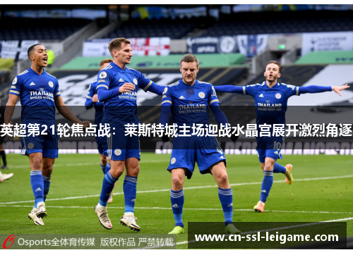 英超第21轮焦点战：莱斯特城主场迎战水晶宫展开激烈角逐