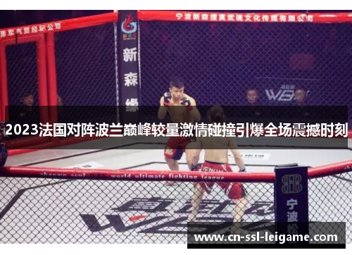 2023法国对阵波兰巅峰较量激情碰撞引爆全场震撼时刻