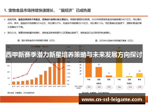 西甲新赛季潜力新星培养策略与未来发展方向探讨