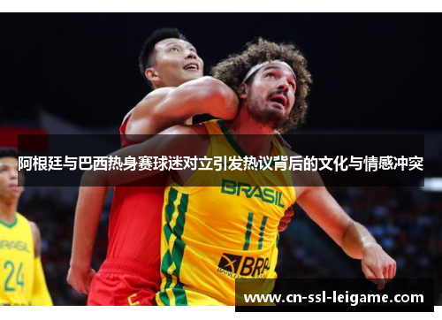 阿根廷与巴西热身赛球迷对立引发热议背后的文化与情感冲突 阿根廷与巴西热身赛球迷对立引发热议背后的文化与情感冲突